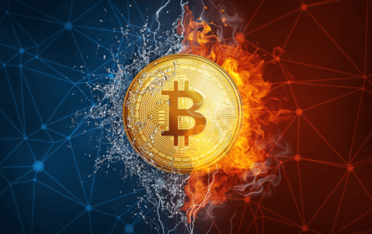 Bitcoin Has Increased By Almost 30% This Year